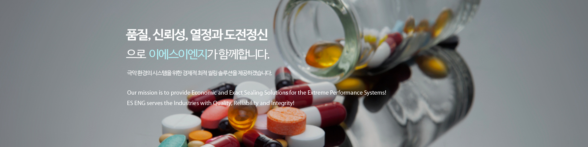 이에스엔지니어링 산업용 씰(Seal) 제품 소개 4