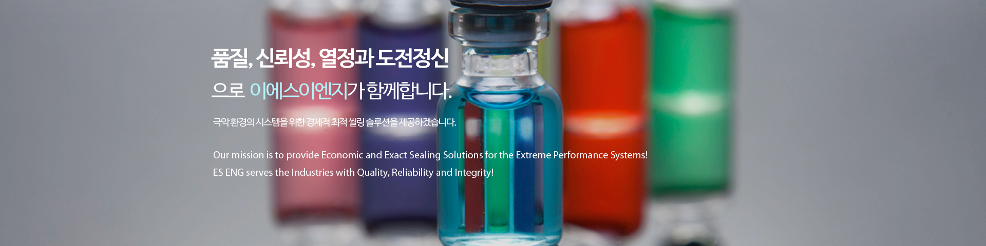 이에스엔지니어링 산업용 씰(Seal) 제품 소개 5